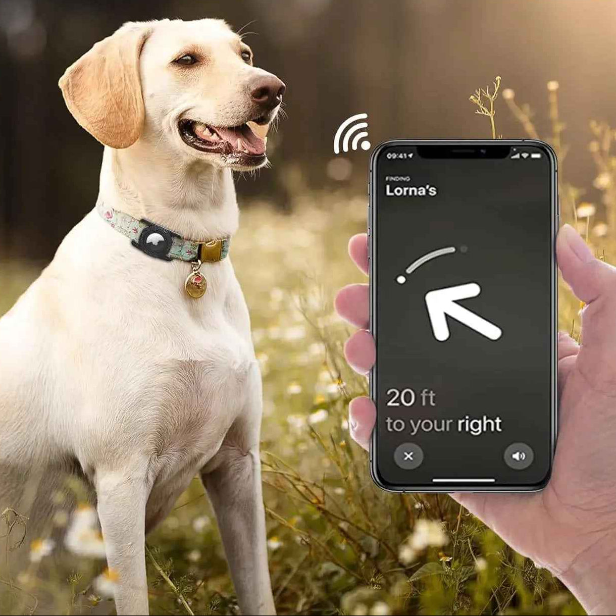 Pack de 2 Supports AirTag Étanches : Sécurité Totale pour votre Compagnon